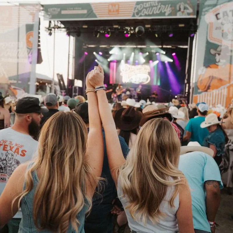 Festival crowd and attendees